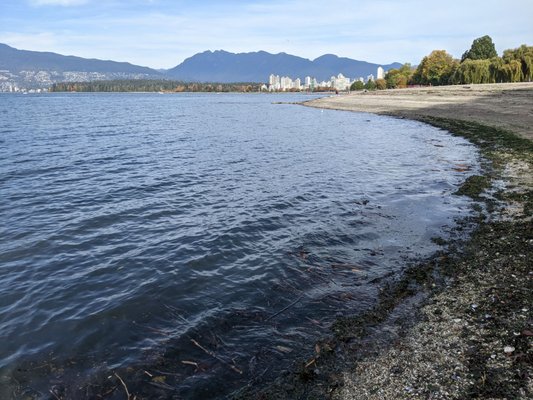 Kitsilano Beach Park by null