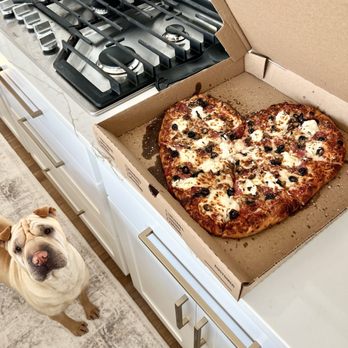 Crazy Tomato - Pup and pizza - Italian Near Me - Allen, Texas