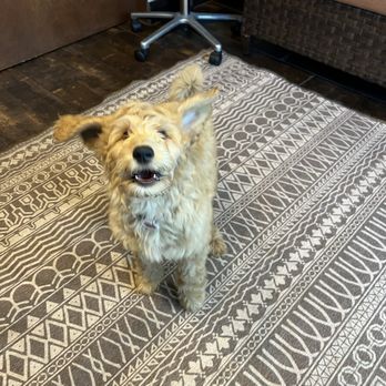 PAWS Veterinary Center - Veterinarians Near Me - Tucson, Arizona