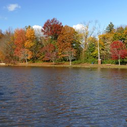 Daley's Pond & Recreation Area