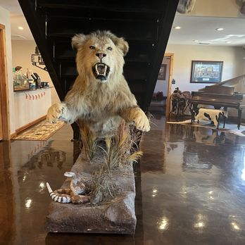 Pineview Coffee Company - Coffee & Tea Near Me - Rocksprings, Texas