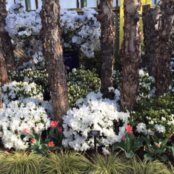 Lincoln Park Conservatory - Parks Near Me - Chicago, Illinois Lincoln Park Conservatory - Parks Near Me - Chicago, Illinois