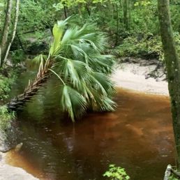 Trail Trail