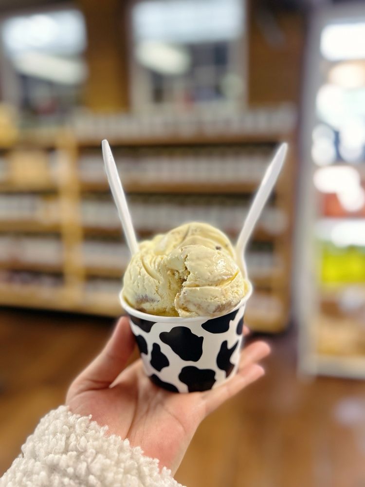 Crystal Springs Creamery Logo