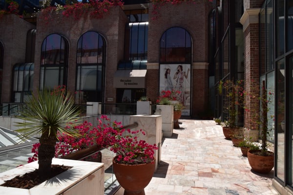 The Rodeo Collection by null