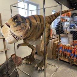 T. rex costume