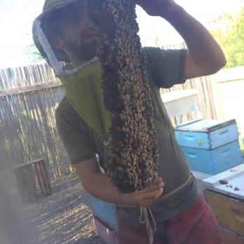 Big Island Bees - Joe the Bee Guy showing us the bees - Honey Near Me - Captain Cook, Hawaii