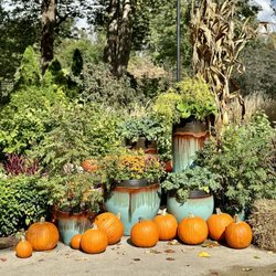 Franklin Park Conservatory & Botanical Gardens - Fall 2023