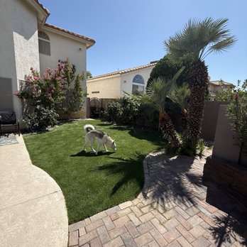 Big Bully Turf - After install of turf which our fur babies love! - Landscaping Near Me - Henderson, Nevada