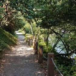 East Montlake Park