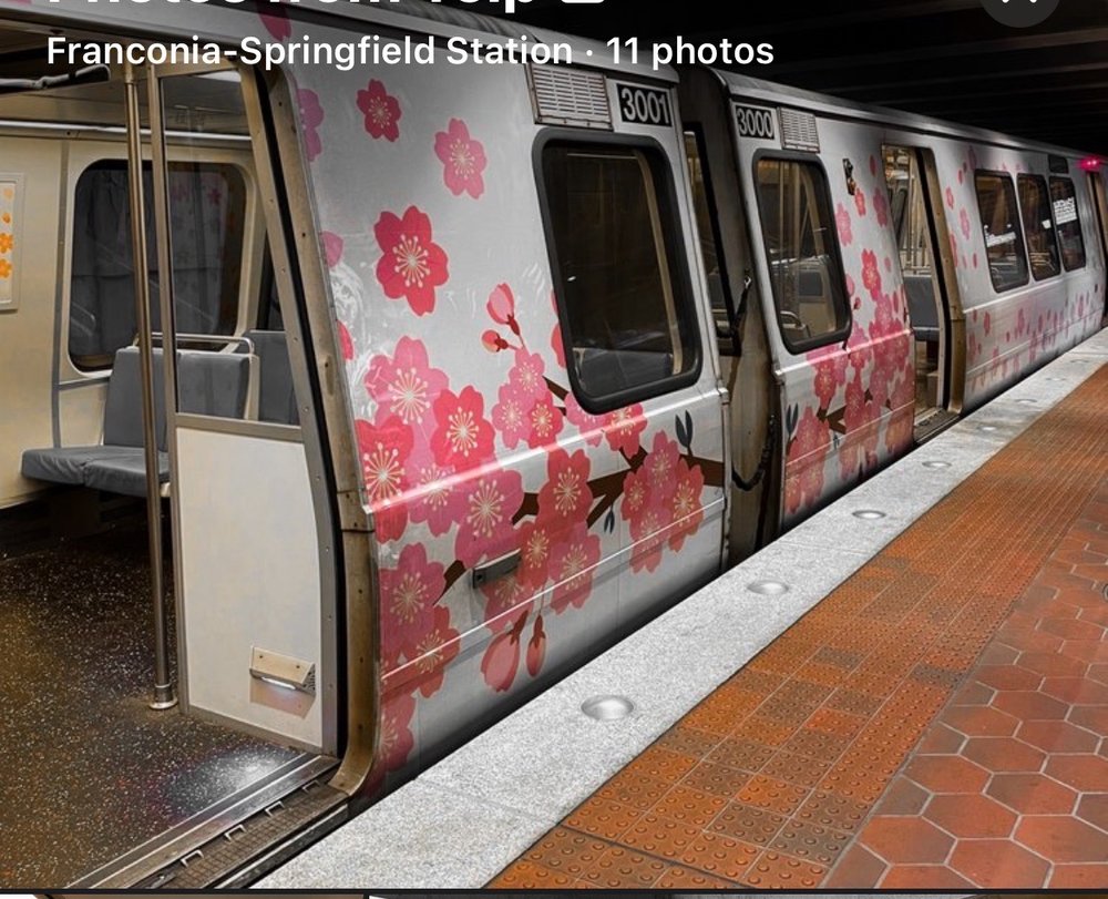 BRANCH AVENUE METRO STATION Updated September 2024 25 Photos & 13