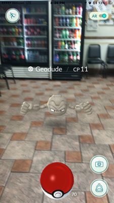 James Fishmarket by null