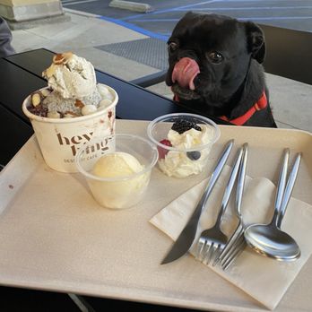 Heybings - Black sesame bingsoo and woofaccino - Desserts Near Me - Costa Mesa, California