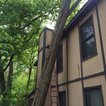 Mejicanos Tree Care - Tree leaning on house. - Tree Services Near Me - Huntsville, Alabama Mejicanos Tree Care - Tree leaning on house. - Tree Services Near Me - Huntsville, Alabama