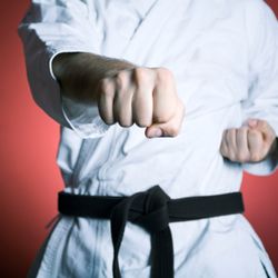 Steve Nugents Karate Institute