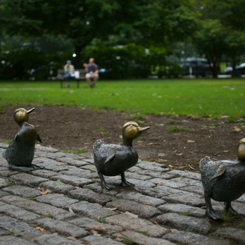 Boston Common - The ducklings - Parks Near Me - Boston, Massachusetts Boston Common - The ducklings - Parks Near Me - Boston, Massachusetts