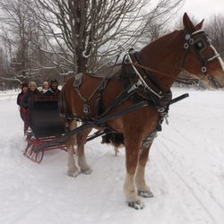Gordon Family Farm and Sawmill - Sleigh Rides
