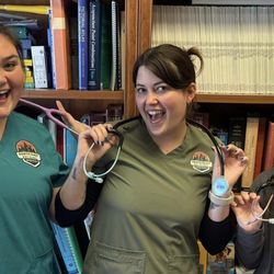 North Coast Pet Clinic - New Stethoscopes for our awesome Tech crew!