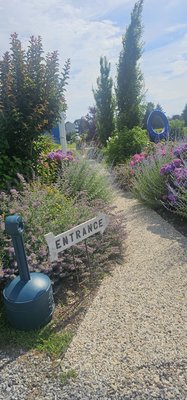 Peconic Bay Vineyards by Krissie Wines by null