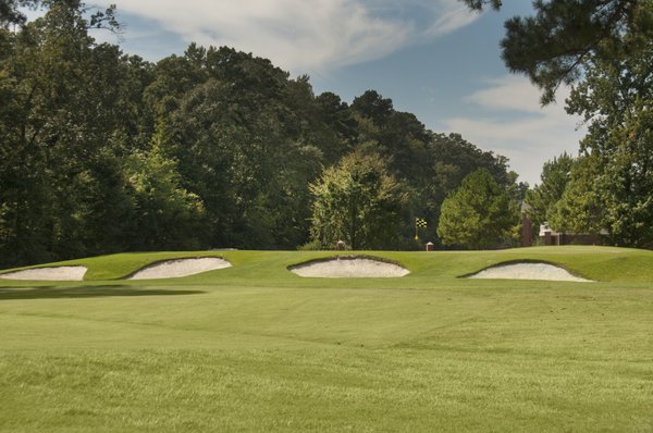 THE GREENS AT HURRICANE CREEK APARTMENTS - Updated August 2025 - 68