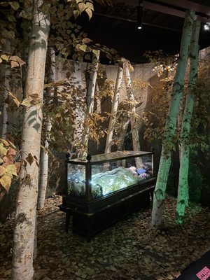 Science Museum of Virginia by null