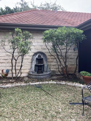 Max Tree & Roofing Service