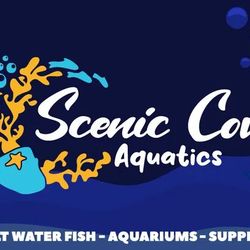 Scenic Cove Aquatics - We pride ourselves on being more than just a store - we're a community of passionate aquarium enthusiasts.