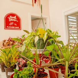 Nourish Botanica