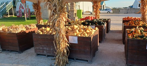 Goebbert's Farm Pingree Grove by null