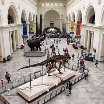 Field Museum - Museum Interior - Museums Near Me - Chicago, Illinois Field Museum - Museum Interior - Museums Near Me - Chicago, Illinois