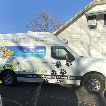 You Dirty Dog - cool van with my dog inside getting primped and pampered parked in my driveway - Pet Groomers Near Me