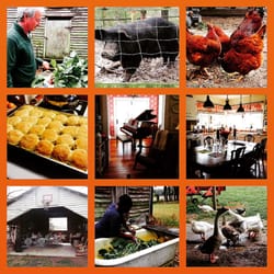 Brothers Farm - Montage of images from Brothers B&B and Farm