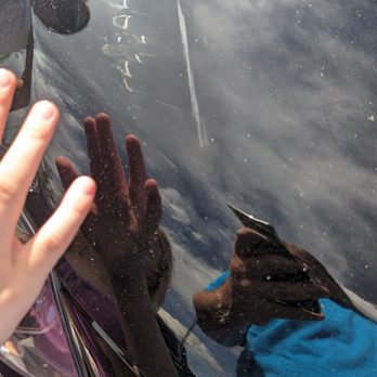 Safelite AutoGlass - Windshield Installation & Repair Near Me - Castle Rock, Colorado Safelite AutoGlass - Windshield Installation & Repair Near Me - Castle Rock, Colorado