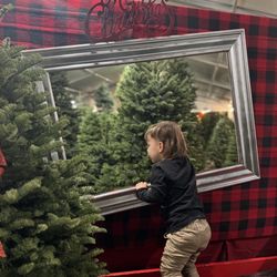 Blake's Christmas Tree Lot - Photo op area!