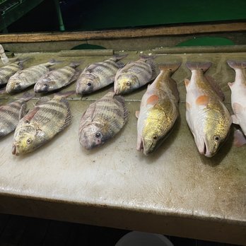 Big John’s Fishing Guide - Fishing Near Me - Port Isabel, Texas Big John’s Fishing Guide - Fishing Near Me - Port Isabel, Texas