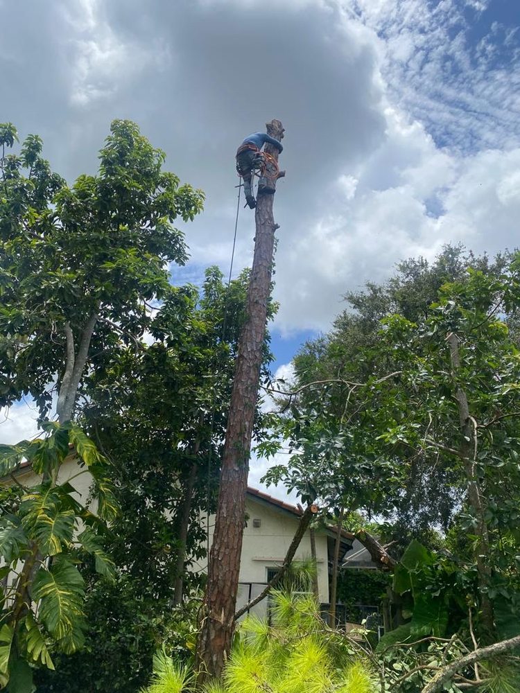 Slide of Axion Multi Services