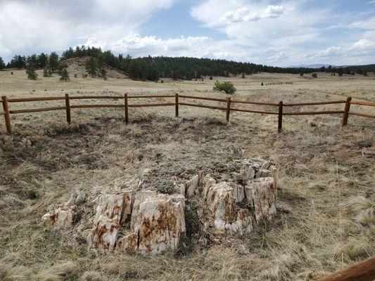 Florissant Fossil Beds National Monument by null