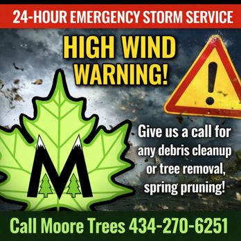 Moore Trees - Tree Services Near Me Moore Trees - Tree Services Near Me