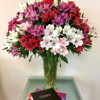 Rio Roses - Florists Near Me - Doral, Florida Rio Roses - Florists Near Me - Doral, Florida