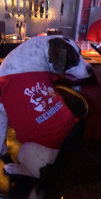 Red's Icehouse by null