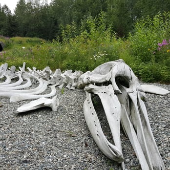Alaska Native Heritage Center - Whale bones - Museums Near Me - Anchorage, Alaska