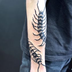 Ease Your Mind Tattoo Studio - centipede