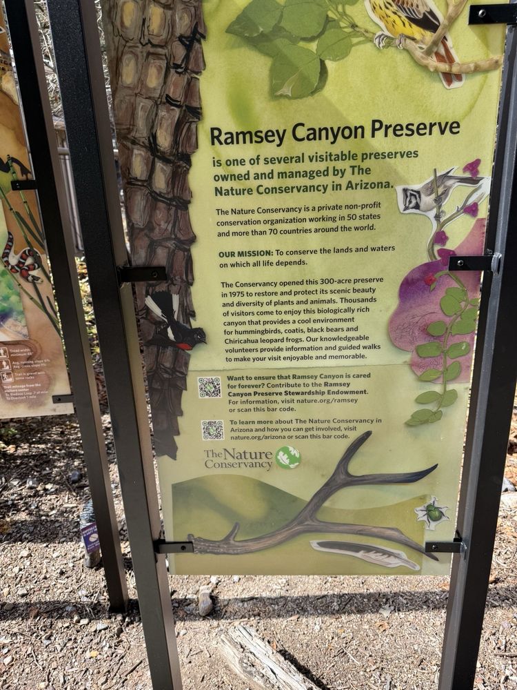 The Nature Conservancy Logo