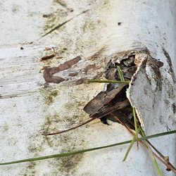 Hidden Cove RV Park - Roof