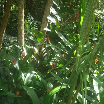 Hike Maui - More green - Tours Near Me - Kahului, Hawaii Hike Maui - More green - Tours Near Me - Kahului, Hawaii