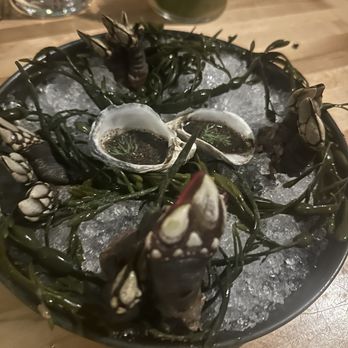 Nightshade Noodle Bar - Portuguese Percebes - Vietnamese Near Me - Lynn, Massachusetts Nightshade Noodle Bar - Portuguese Percebes - Vietnamese Near Me - Lynn, Massachusetts