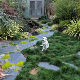 Puppy for scale. Puppy for scale.
