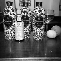 Les Coulisses - Gin Generous origine France à déguster en Gin Tonic
