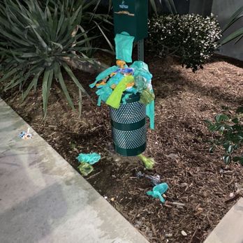 Avalon Playa Vista - Overflowing dog waste receptacle infront of Beatrice entrance - Apartments Near Me - Los Angeles, California