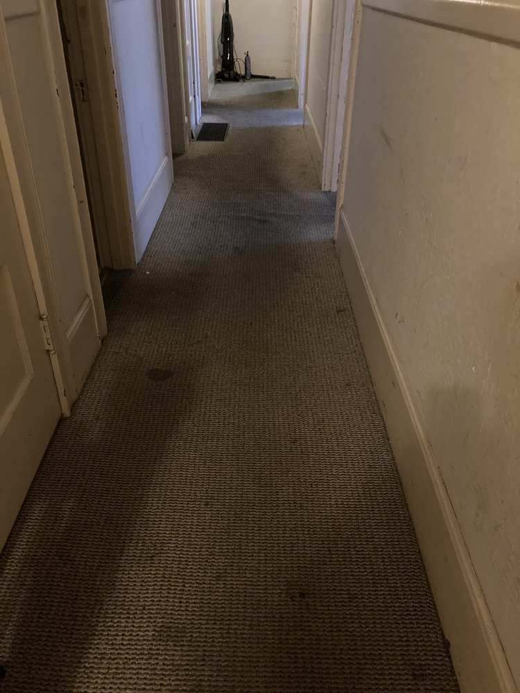 DAVE’S CARPET CLEANING SERVICE Updated September 2024 28 Photos & 12 Reviews San Leandro